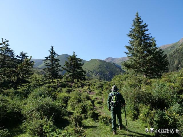 图集丨山丹湿地：生态画卷展绿意 飞鸟清波映蓝天