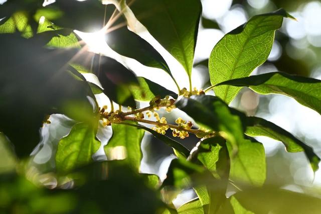 向全萧山人道歉！“上班”迟到了！