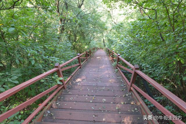 河北百草畔（中）：览尽三山舒望眼，行穿百草浣尘襟