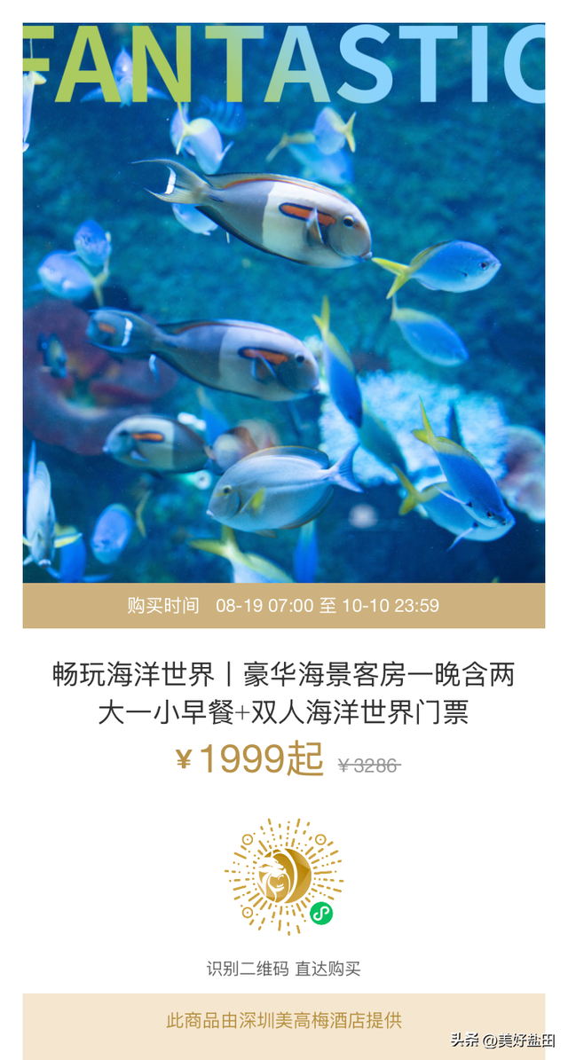 连续七天，教师免票！
