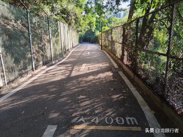 从地铁口出发，游逛刚刚开放的鲲鹏径二号及三号桥