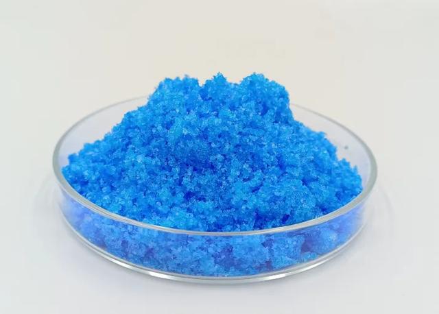 突变?切尔诺贝利发现蓝色的狗!是被核辐射变异了吗?