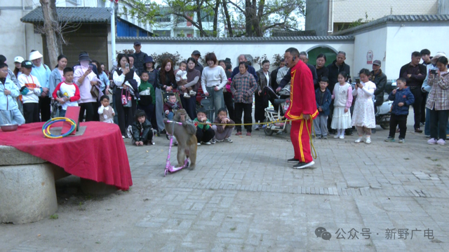 刚刚的周末，来新野赏花已超45万人次…