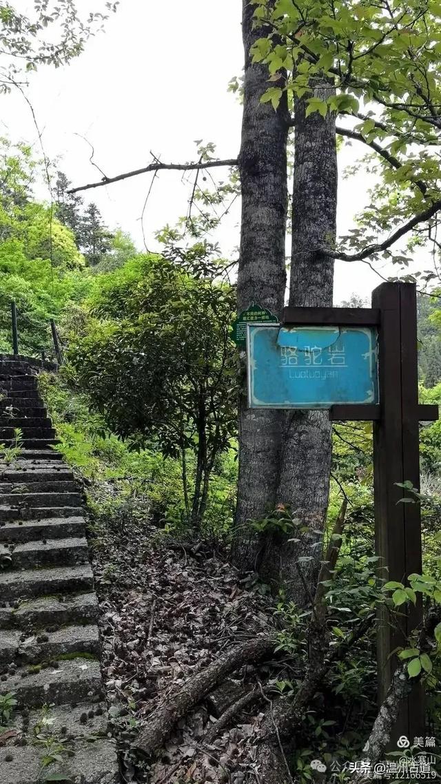 温州酷暑哪里有清凉,当然永嘉四海山!