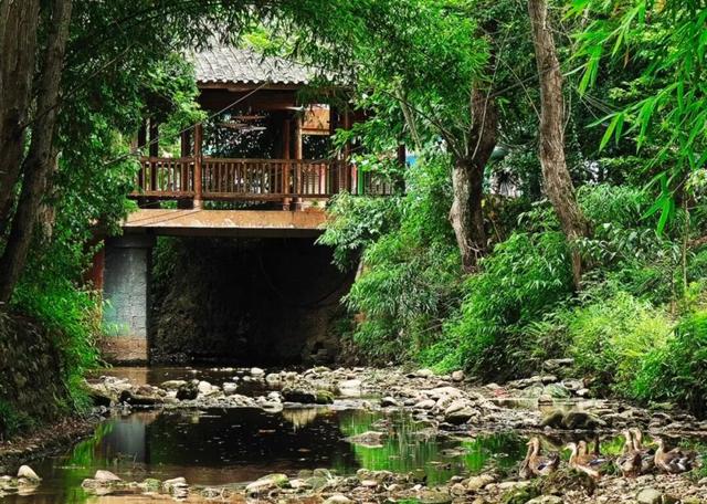 徒步、长街宴……大同古镇的新春活太会整了～