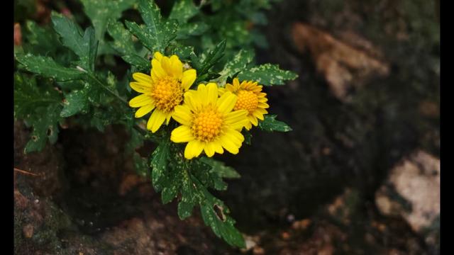 吉河水甲天下—陕西省安康市汉滨区探访四
