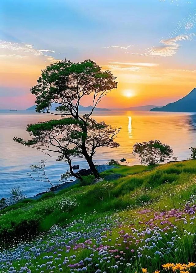 宛如油画一般的美景，美呆了！