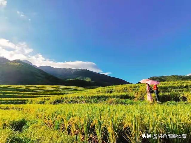 凌晨2点19分秋分！老话说“十个牛栏九个空”，今年冬天冷到哭？