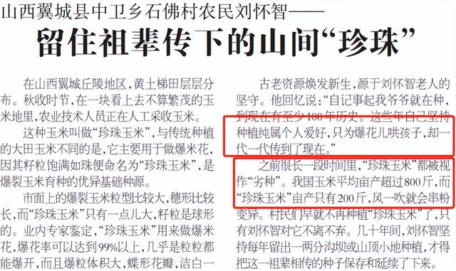 仅有1人种植！专家下乡偶然发现，山西老汉为哄孩子种了几十年
