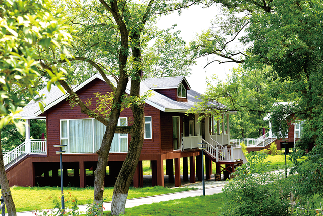 这么静，那么美，周末来洈水必打卡的七件事！