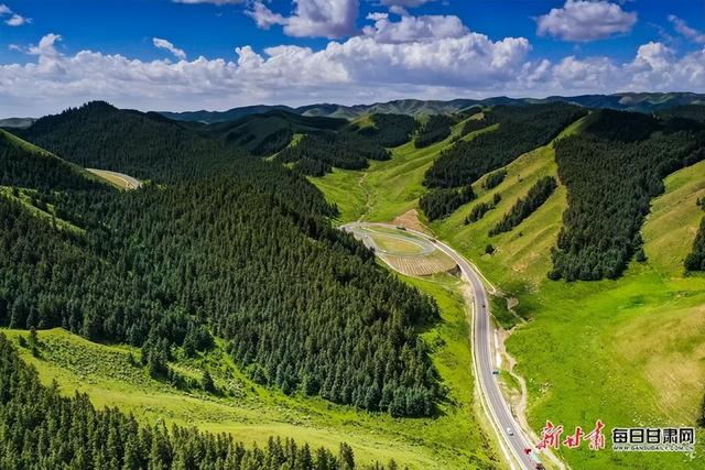 高山草甸、绿意盎然，武威有自己的“呼伦贝尔”大草原！