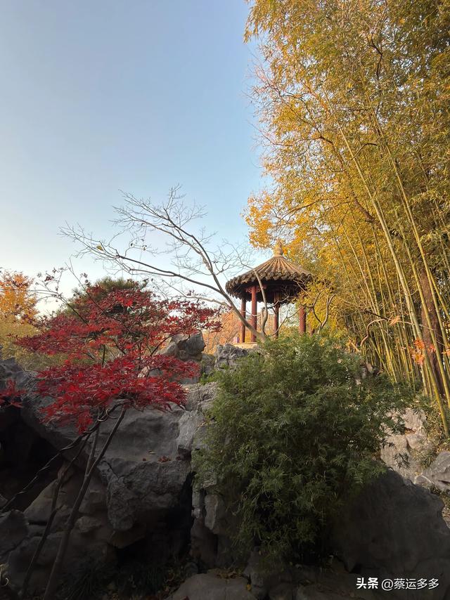 沪上园林古猗园已达颜值巅峰