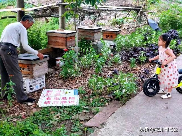 【行走徽州227】芳塘：许是半亩方塘的传承，明经胡有人高中传胪