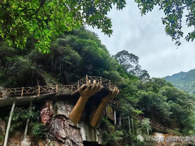 温州这个以畲族始祖命名的4A级景区，秘藏着一座“生物王国”！