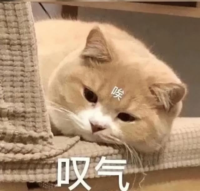 23岁中国女游客在日本坐滑翔伞，失控坠海！教练兼店主丧命