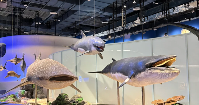 琼海元旦“嗨玩指南”来啦！