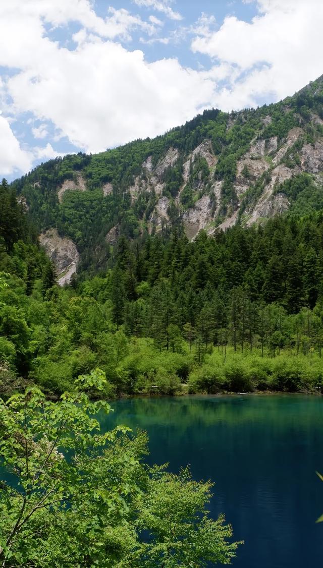 我是上海人游九寨沟，旺季热门景挤爆，找树影海等冷门地才舒心