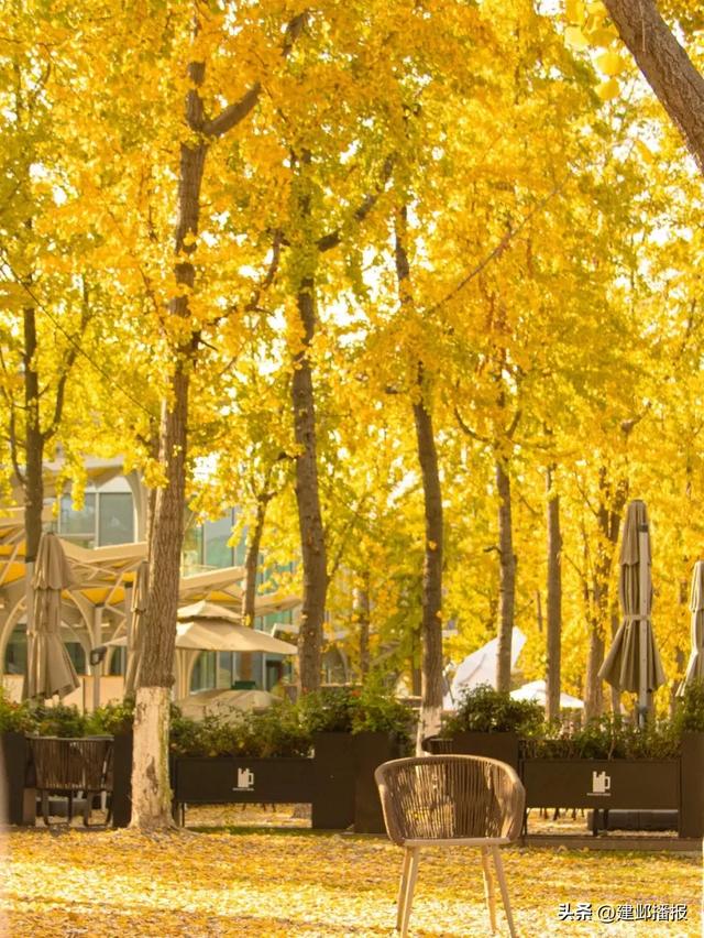 在建邺，“发呆”