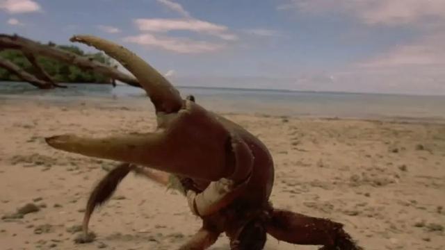 17部荒岛求生类电影，自然挑战与人性光辉