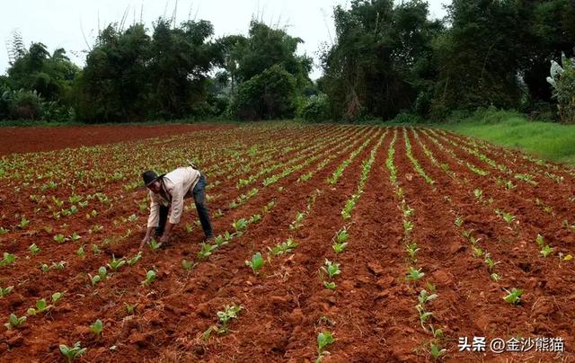 古巴到底是什么样的?