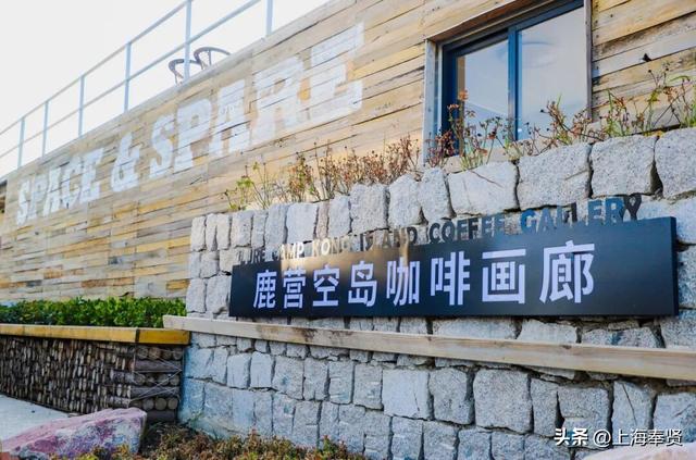 “乡”遇奉贤·南桥镇篇丨一站式乐园解锁新玩法，快来探秘当代“桃花源”吧！