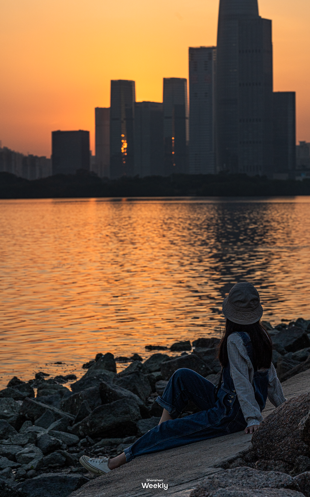 来深圳必走！一天看透城市的活力与浪漫