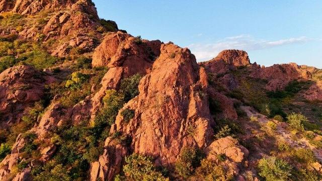 点击解锁红山国家森林公园的秋日“童话世界”→