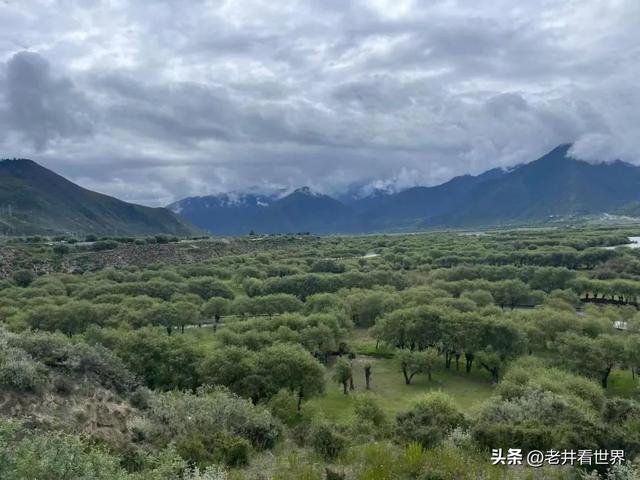 西藏纪行（四）游卡定沟 文‖井明新