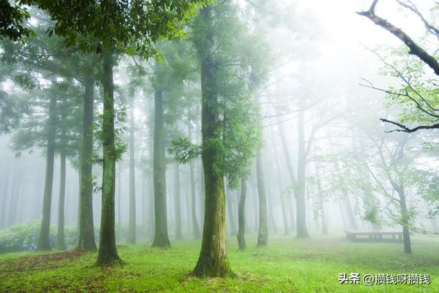 我有3个高中同学，全都中年返贫了，这5个坑，一个都不能踩！