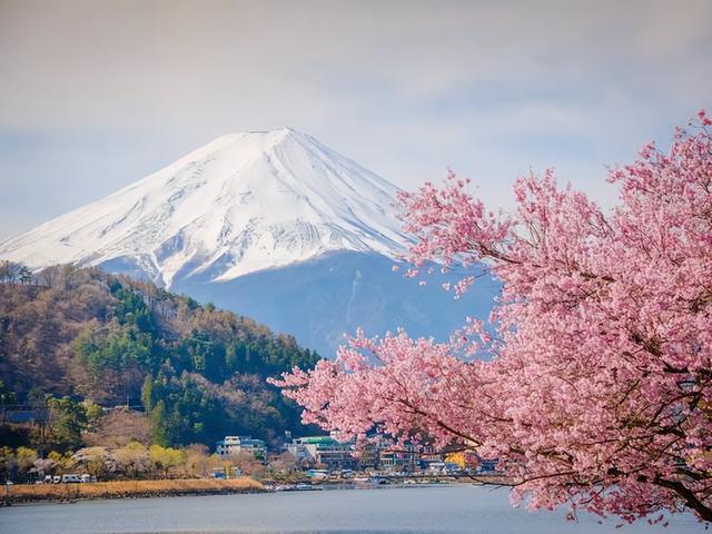 中国人把爱国刻进骨子里！高市早苗狂言在前，赴日游旅客集体退订