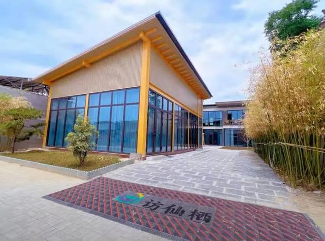 黄河！天鹅！壁画！美食！四条主题线路打开初冬的N种游玩方式