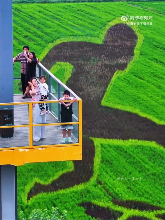 这是济南的“稻”梦空间，初秋刷爆朋友圈！