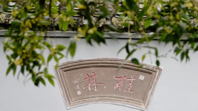 成都平原保存最完整的明代古城墙夜景焕新！