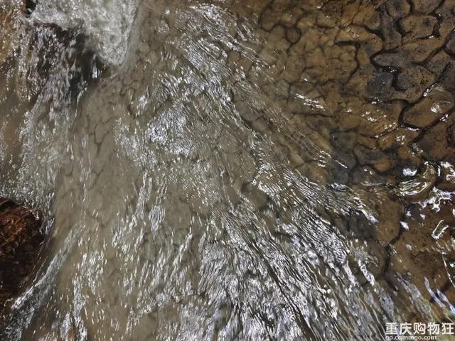 气温20℃+！重庆小众避暑点，吹凉风，捉小鱼，一日游也能耍安逸