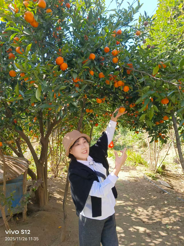 游历雅记：团风神鹰生态休闲山庄游历记