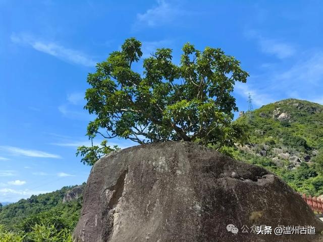 温州这处以奇岩异石著称的免费景区值得你来探秘