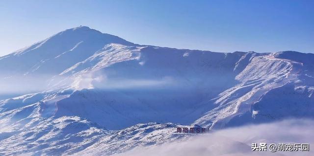 新疆雪山之巅俯瞰，云海翻滚如仙境，当地人说出惊人秘密