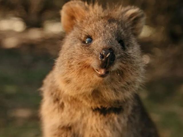 游侠客员工度假：两年了，我还在回味这里！