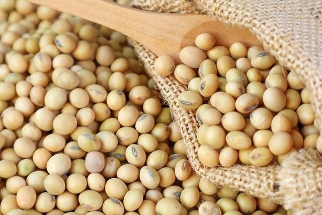 学者：美豆农成特朗普贸易战牺牲品