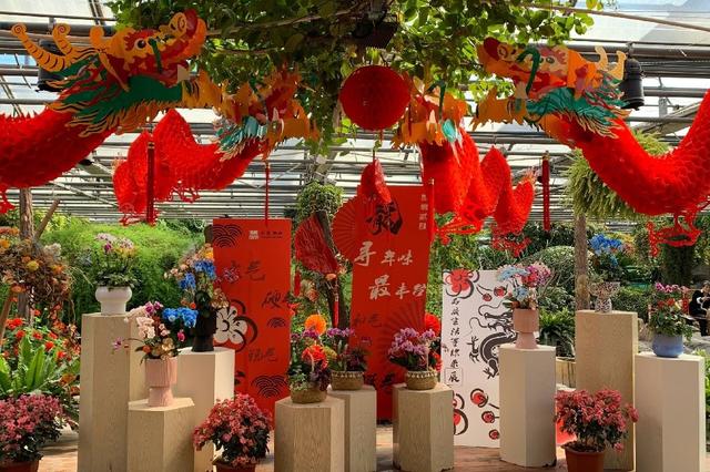 北京世界花卉大观园 四季繁花的梦幻天地