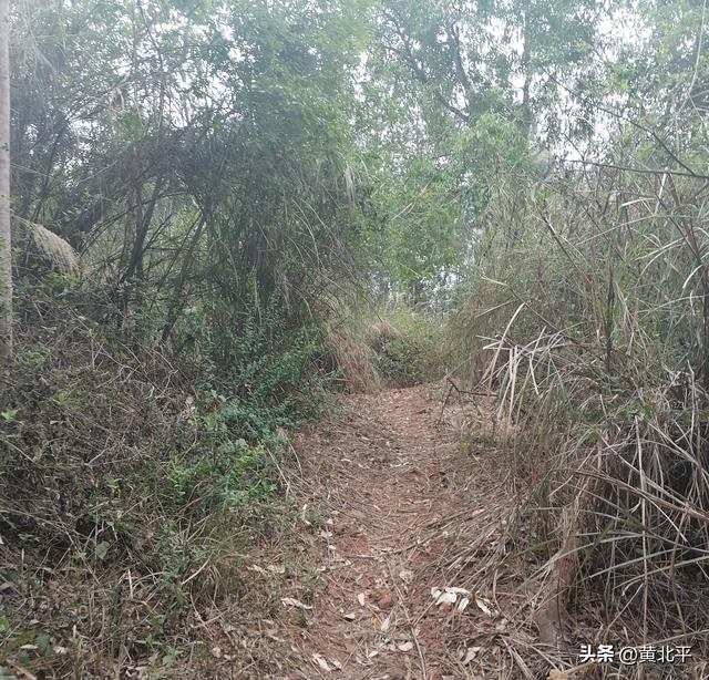 广西南宁市武鸣区深山里有战国古墓群，数量庞大极为罕见