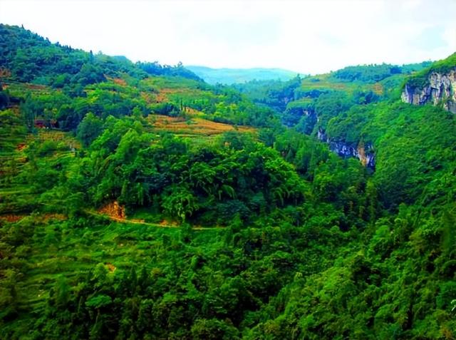 重庆旅游：探寻武隆天坑的神奇（图）