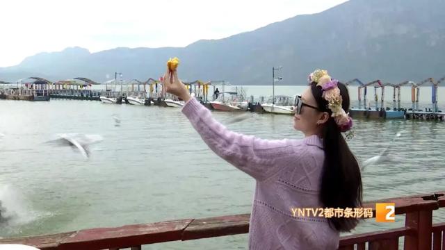 务必先收藏！昆明“顶流”，真的来了！