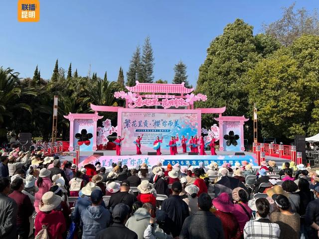 在樱花树下,看见春天!2026洛龙公园第三届樱花节开幕首日迎5万人次打卡
