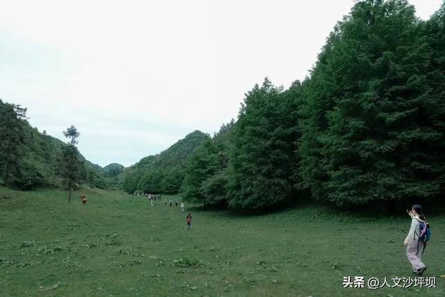 这5个宝藏避暑地，白天耍水、晚上盖被子，本地人都私藏！