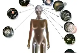 突厥人种为啥能在全球到处都有？突厥基因到底是怎么影响欧洲的？图片