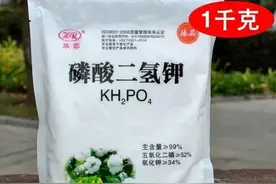 混用危险！磷酸二氢钾与13种杀菌剂的致命组合图片