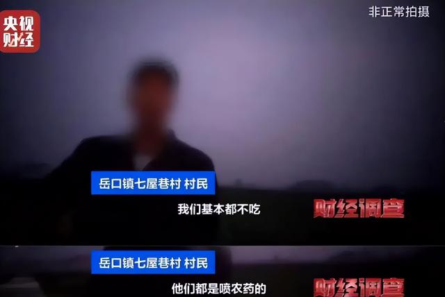 央视曝光毒红薯！商户主动投毒，流窜至全国多地，背后利益链曝光