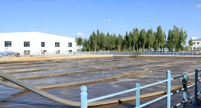 中蒙边境的蒙古国小城，吃中国饭，用中国电，幸福到原地转圈