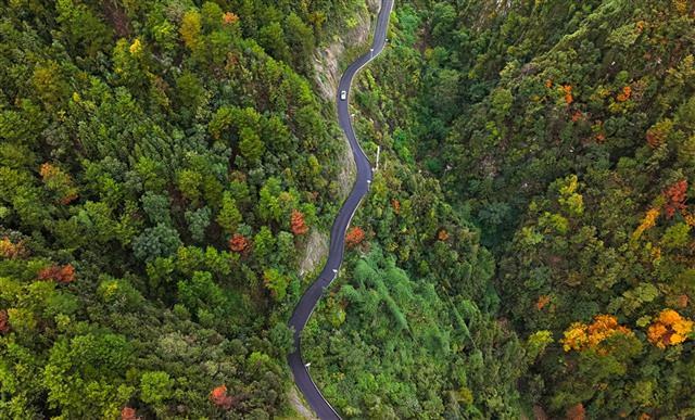 垫江这条旅游要道改造完工，出行 + 文旅双重升级！